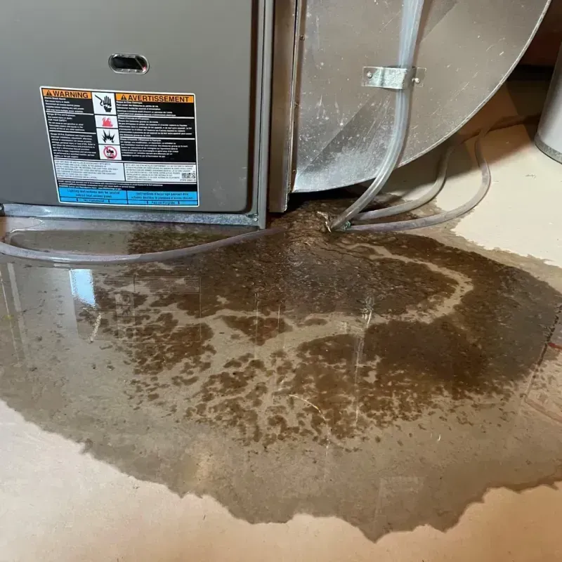 Appliance Leak Cleanup in Mexia, TX